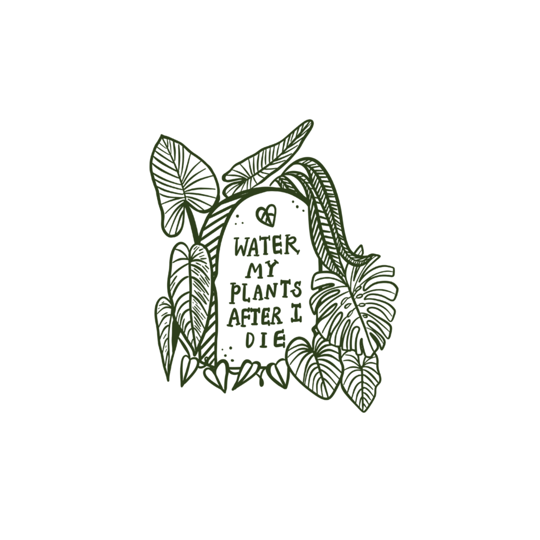 Water My Plants After I Die T-Shirt